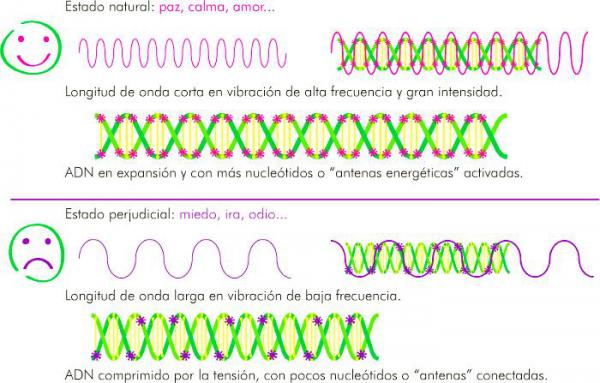 Longitudes de onda de las emociones